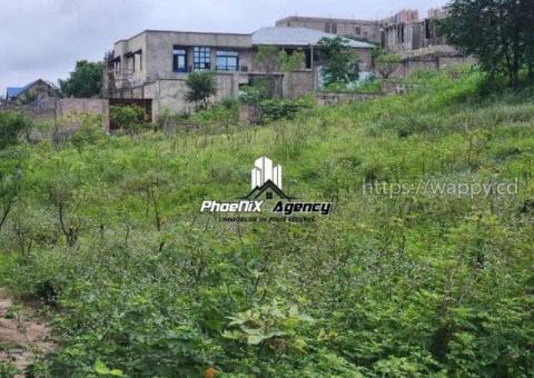 Terrain dans la commune de Ngaliema