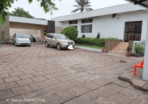 Une très grande parcelle à Ngaliema